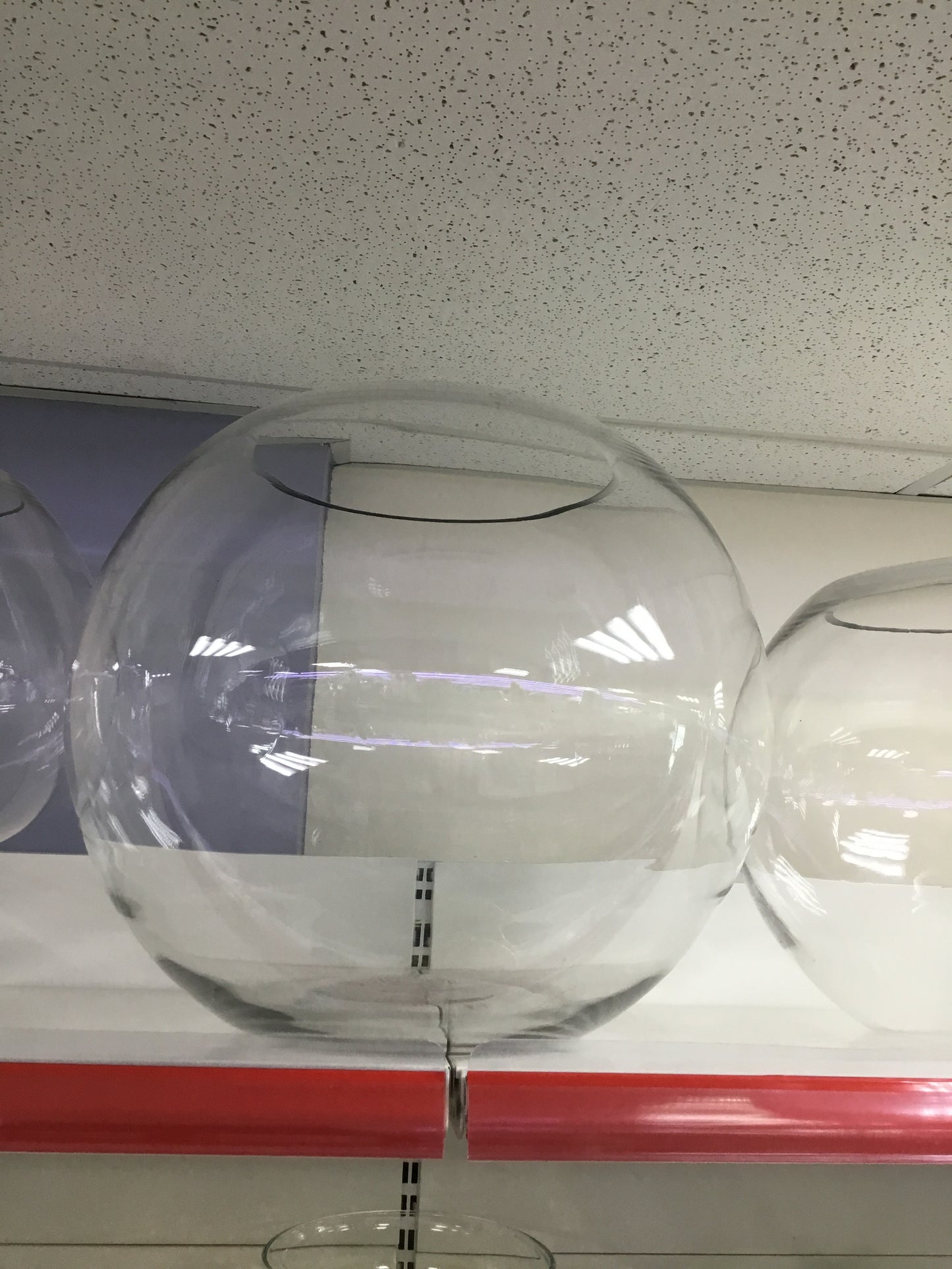 Glassware Flower's Vases - L