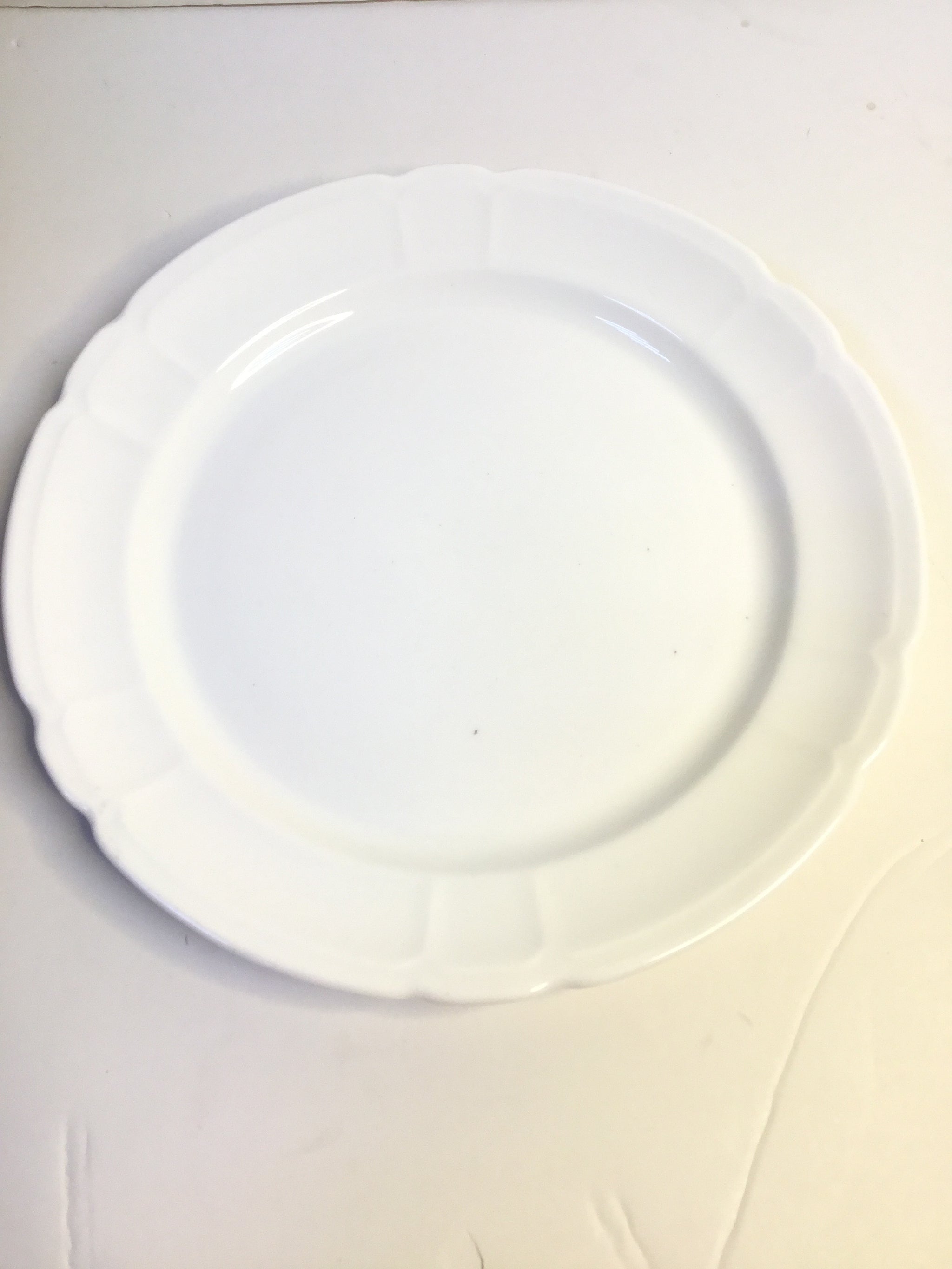 Elegant design Serving Dish - Medium - 0015