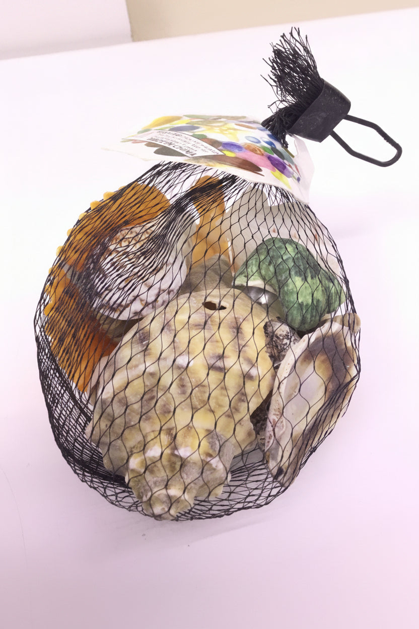 Decoration - Shell - AH-22244-P