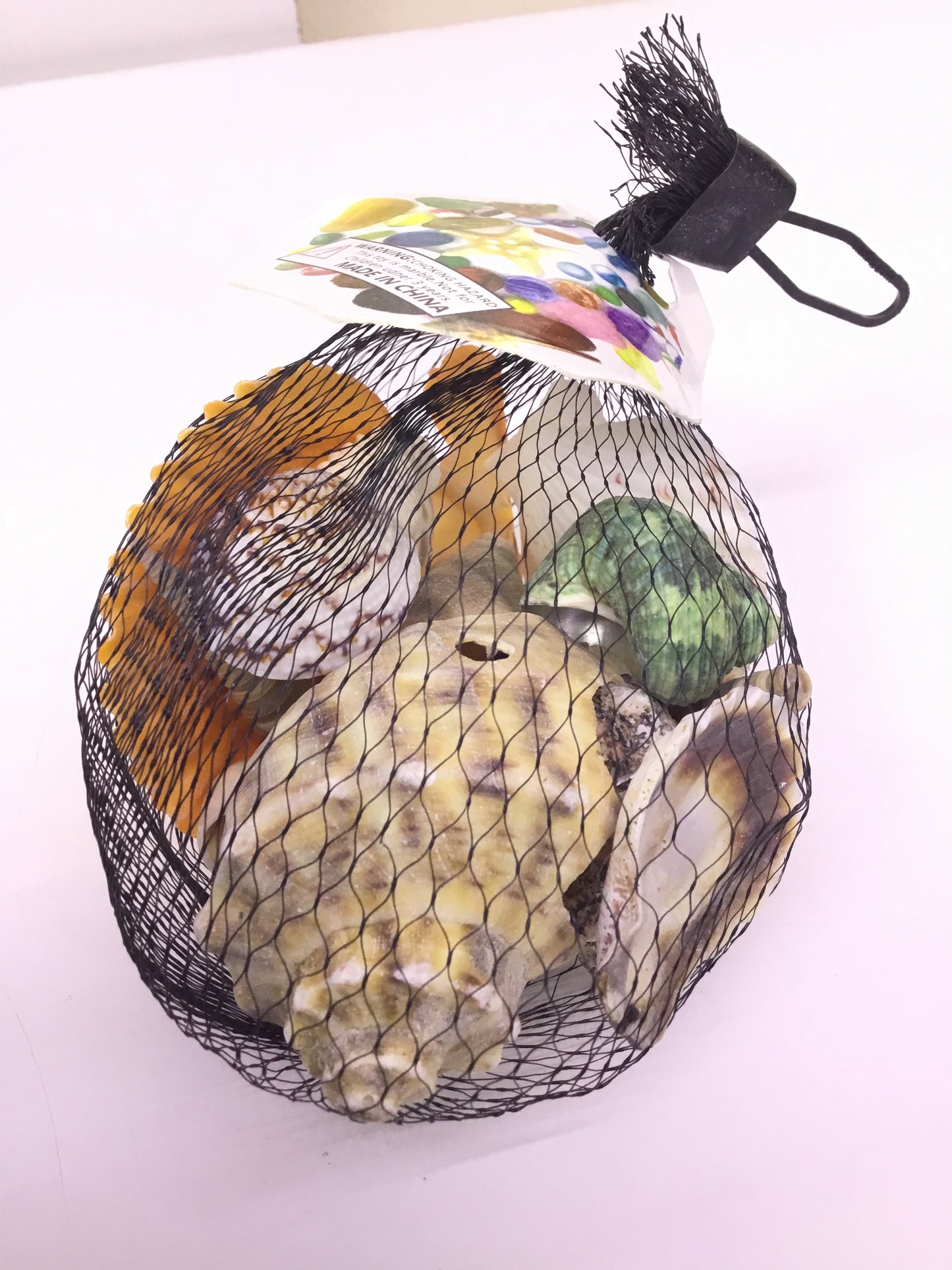 Decoration - Shell - AH-22244-P