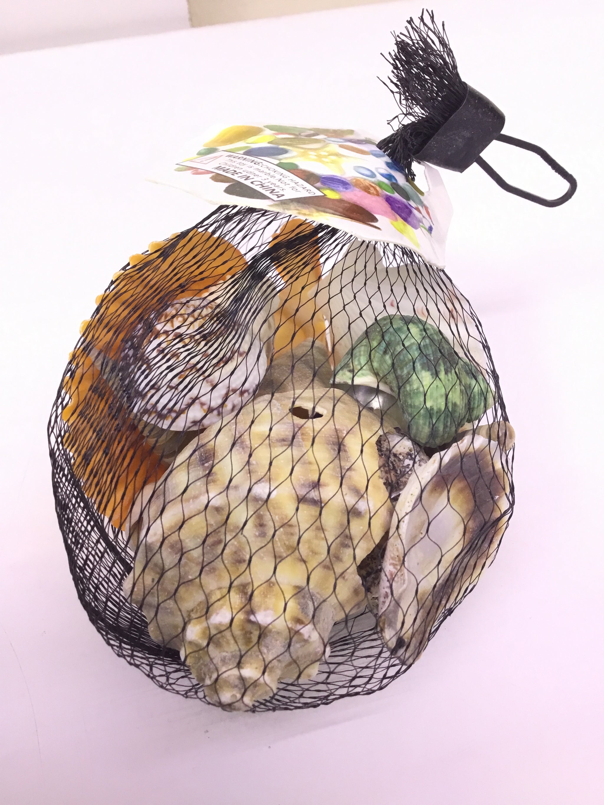 Decoration - Shell - AH-22244-P