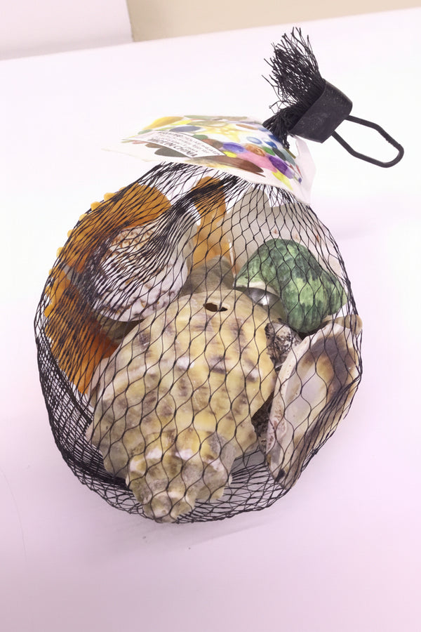 Decoration - Shell - AH-22244-P