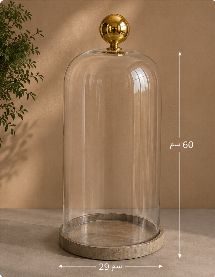 Glass Display Cloche with Wooden Base 60×29cm Premium Quality | Best Sell Online