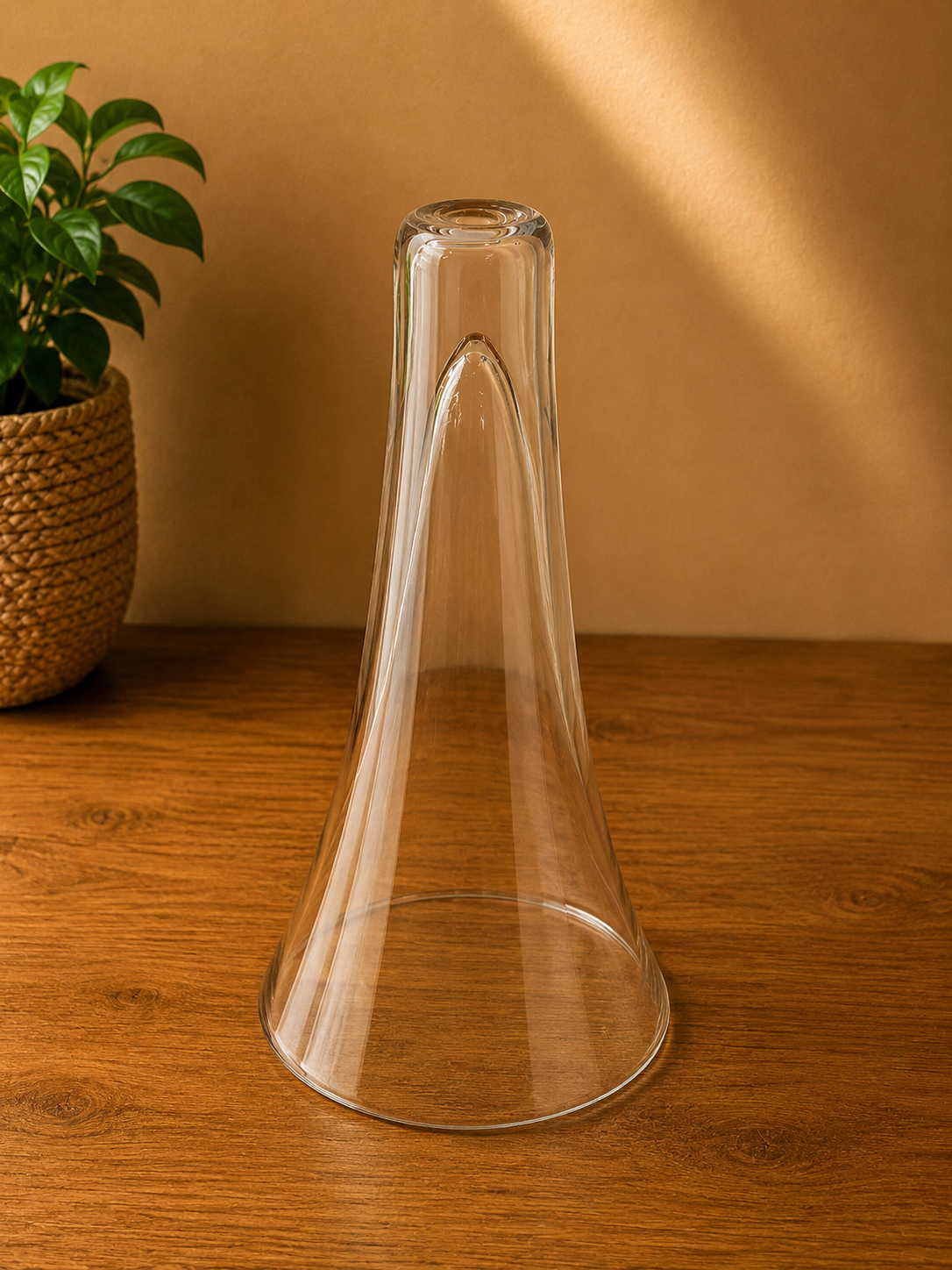 Conical Glass Vase TX-C - 5cm×42cm×22cm