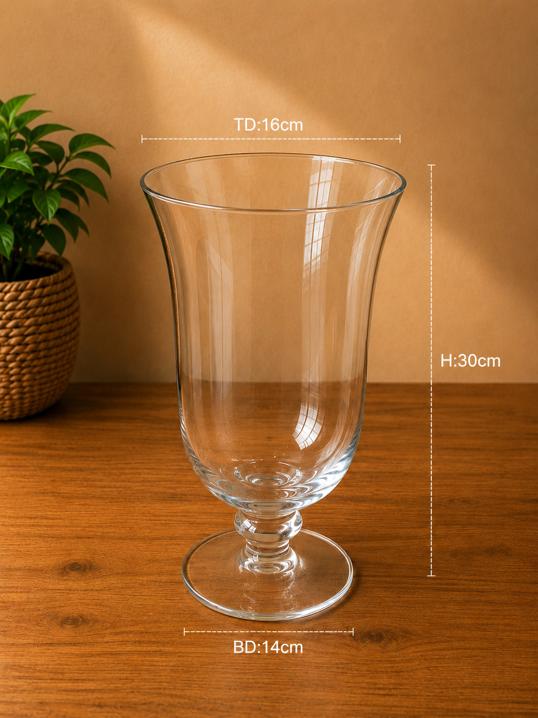 Footed Pedestal Glass Vase TX-T - 16cm×30cm×14cm