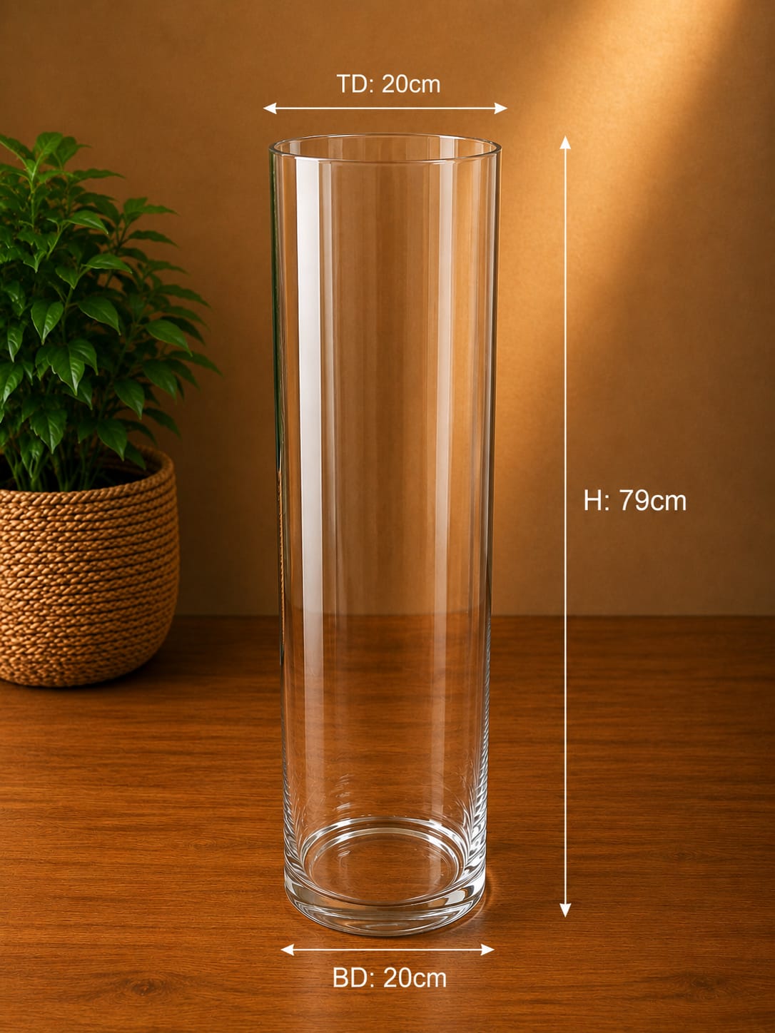 Modern Cylinder Glass Flower Vase-L5 | 20cm×79cm×20cm