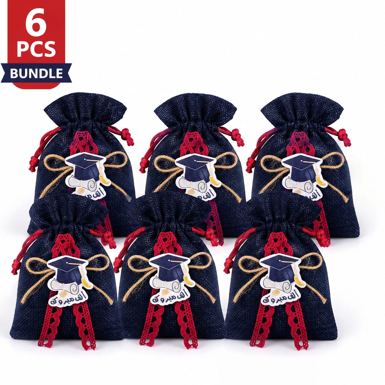 FR Premium 6pcs Gift Bags - Durable & Affordable