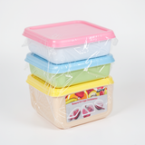 Premium Fresh Keeping Box Set of 4 | Durable & Reliable Storage