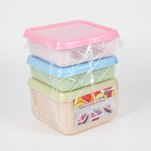 Premium Fresh Keeping Box Set of 4 | Durable & Reliable Storage