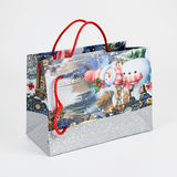 Premium Colorful Gift Bags 18x10x23cm - Durable & Affordable
