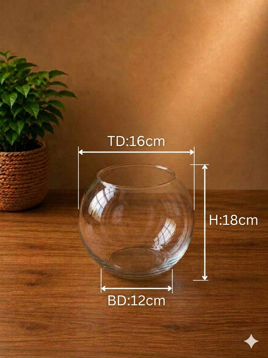 Globe Glass Flower Vase-SS 16×18cm×12cm (small) |Premium Quality | Best Sell Online
