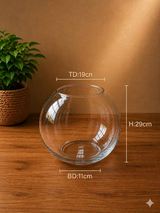 Globe Glass Flower Vase 19×29cm×11cm (medium) |Premium Quality | Best Sell Online