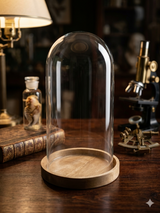 Glass Display Cover with Base 40×19cm Premium Quality | Best Sell Online