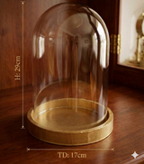 Glass Display Cover with Base 29×17cm Premium Quality | Best Sell Online